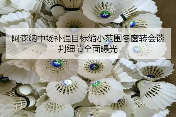阿森纳中场补强目标缩小范围冬窗转会谈判细节全面曝光